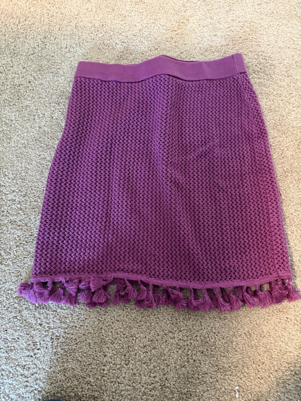 Textured Knit Mini Skirt with Tassel Hem - Purple